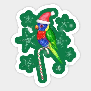 Rainbow lorikeet Christmas style Sticker